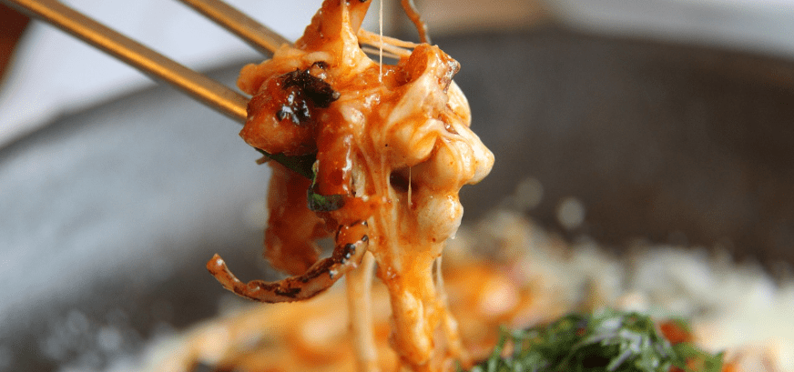 낙지와 낙지 요리 사진 - 8