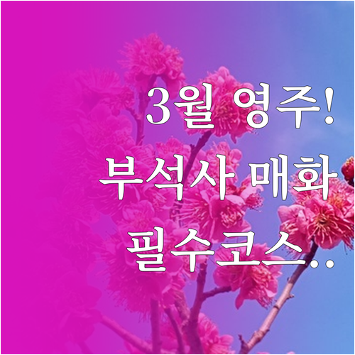 3월 영주 여행 정보 부석사 무량수전..