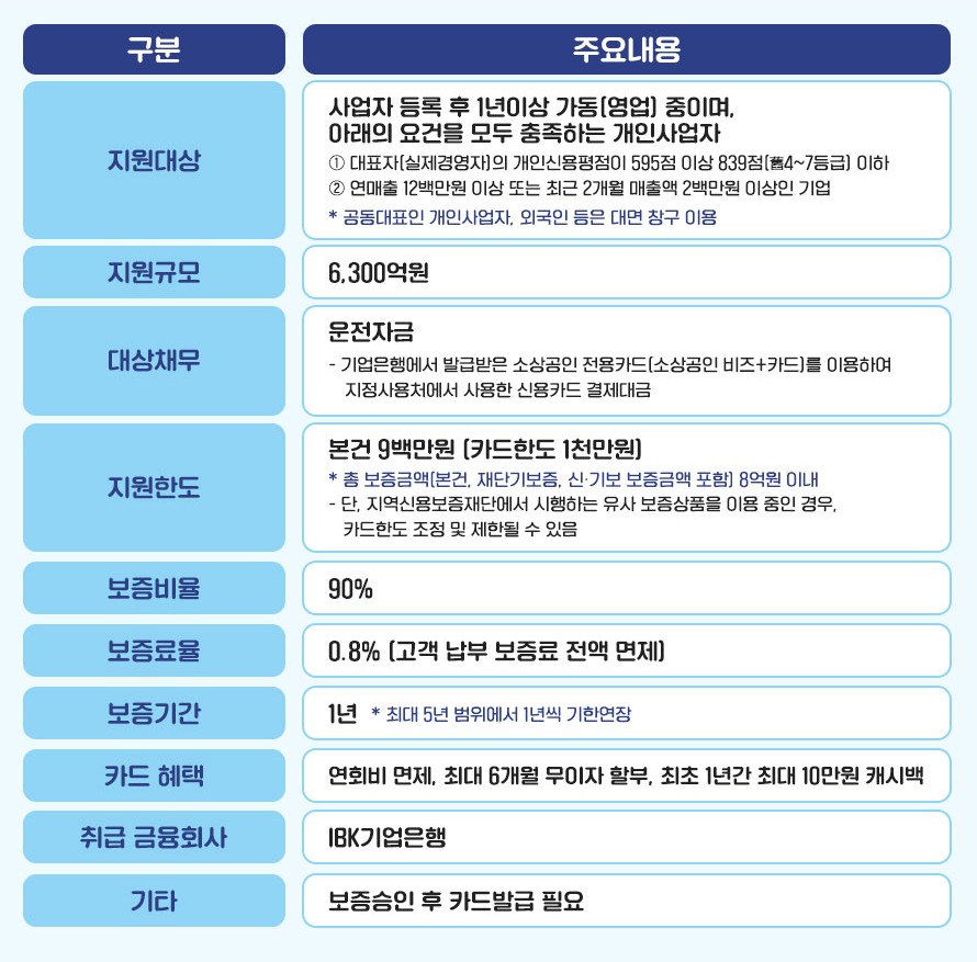 소상공인 지원금, 비즈플러스 카드, 지원금 신청