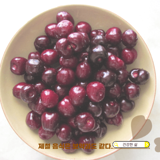 10월 제철 과일