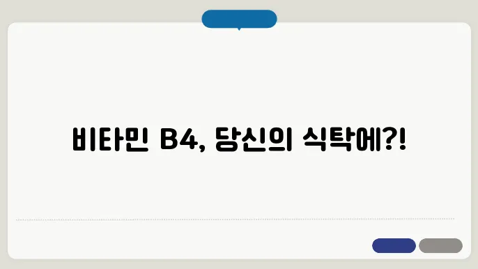 뻯탄민 B4 음식 종류