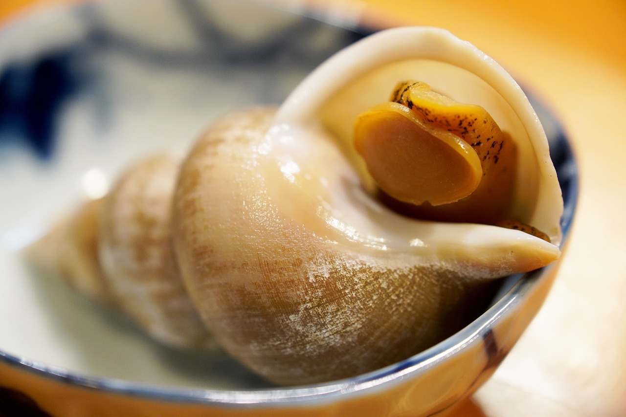 수산물 상품권 환급