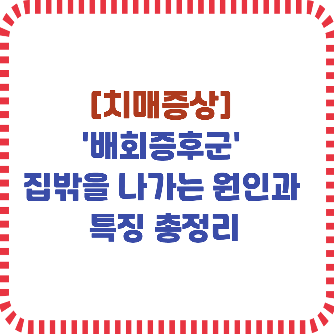 배회증후군