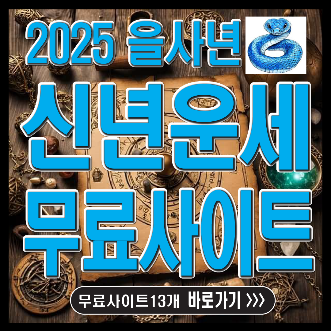2025 신년무료운세-13개사이트