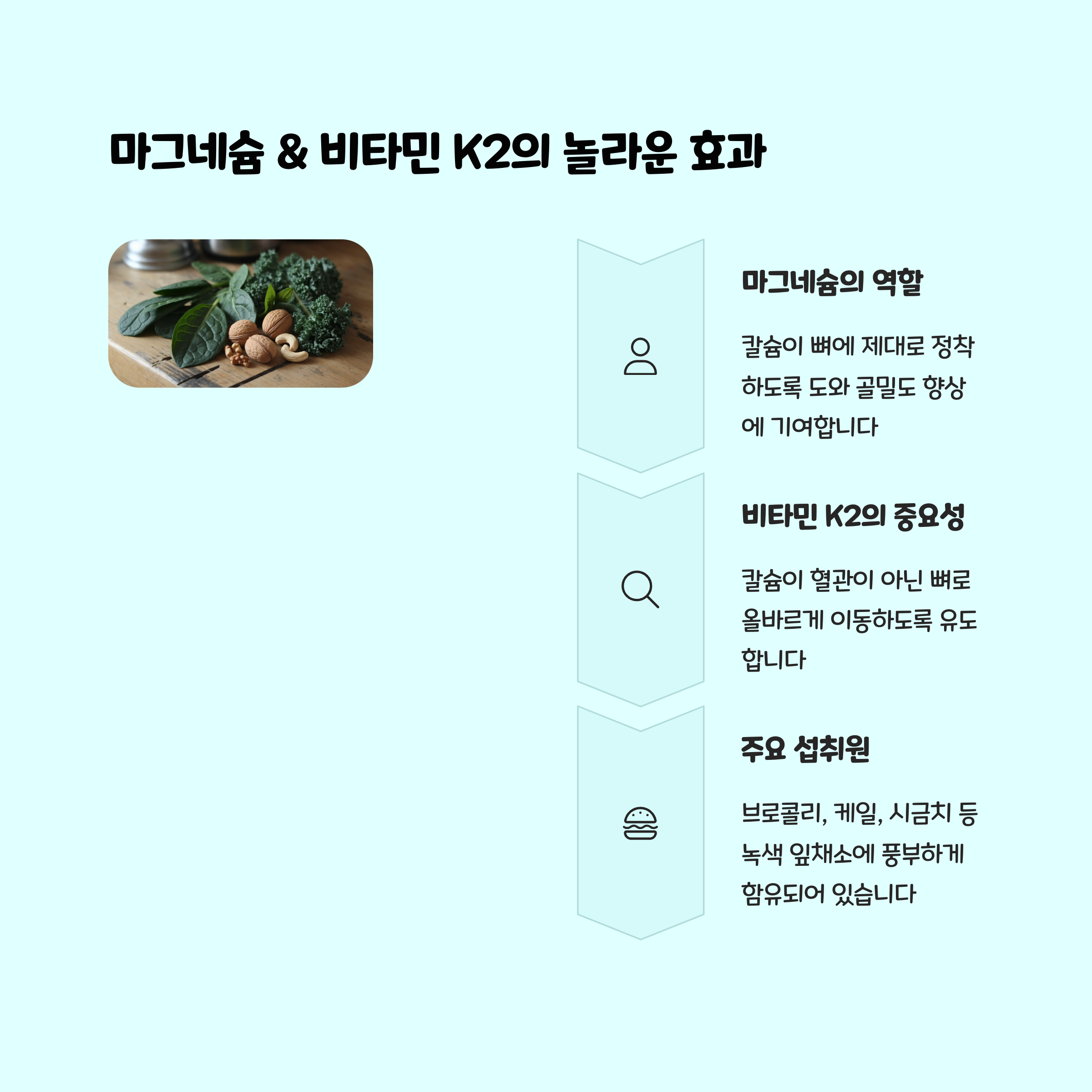 "칼슘 아무리 먹어도 소용없었던 이유" 뼈 건강에 진짜 필요한 숨겨진 영양소 - 뼈 흡수를 돕는 핵심 영양소 3가지 "칼슘 아무리 먹어도 소용없었던 이유" 뼈 건강에 진짜 필요한 숨겨진 영양소 - 뼈 흡수를 돕는 핵심 영양소 3가지