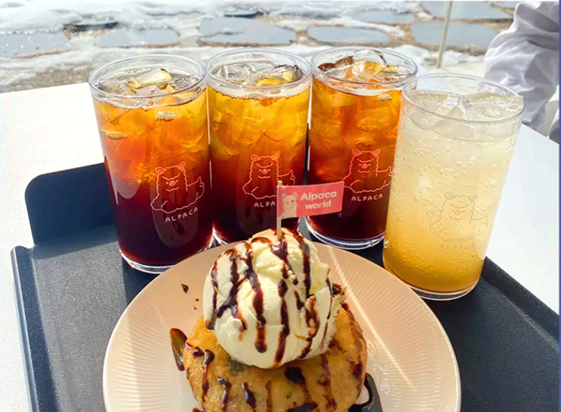 홍천 알파카 월드