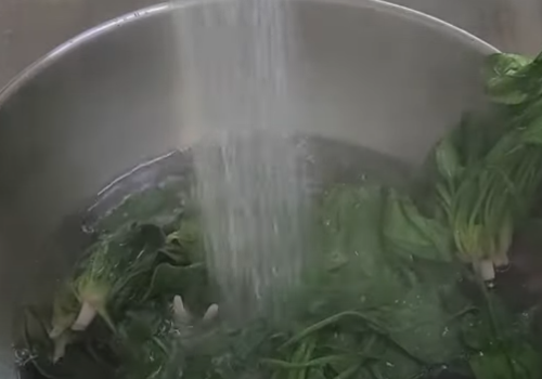 시금치 흙먼지 빼기