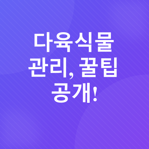 다육식물_3