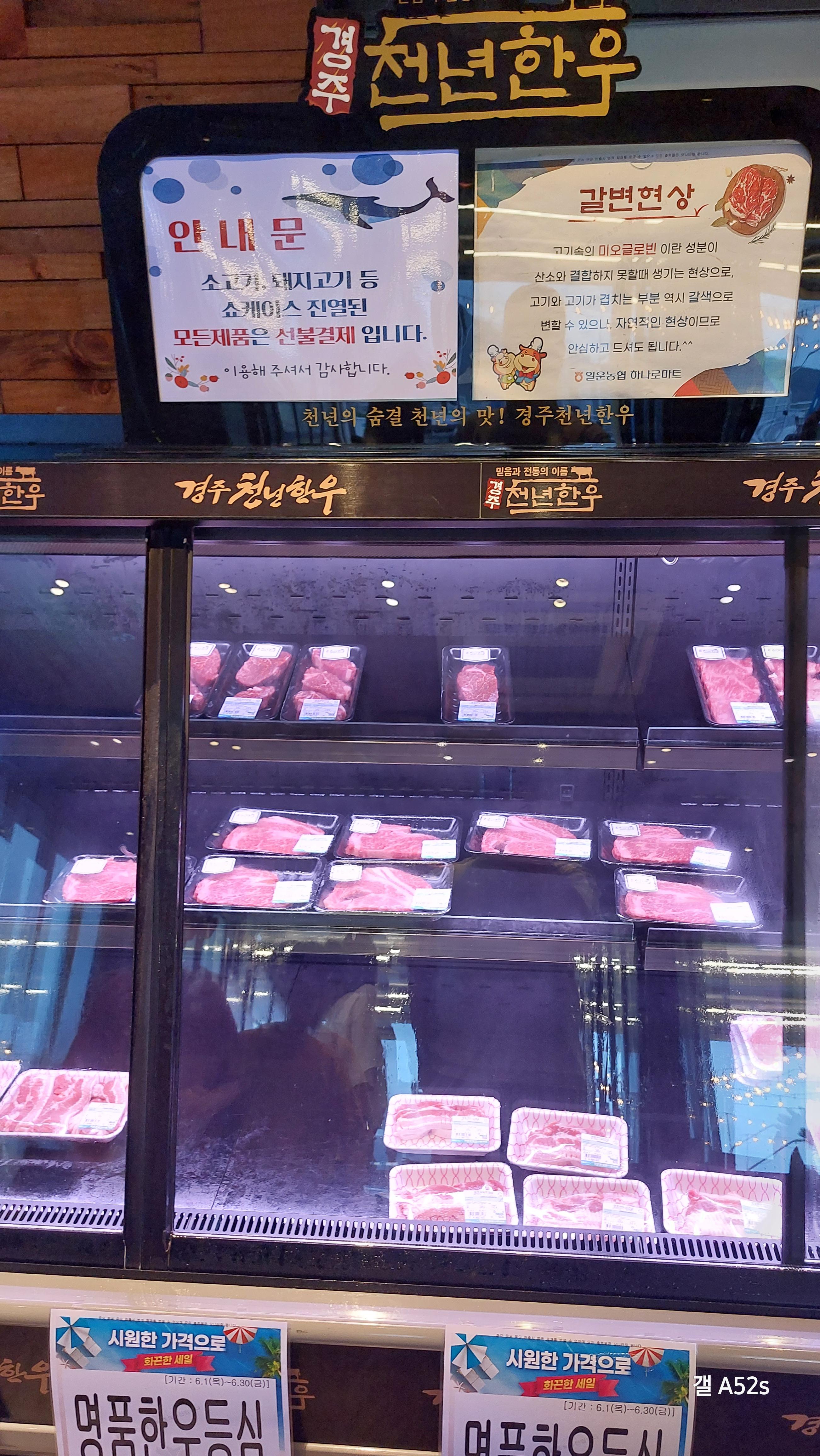 소노캄 거제 바베큐 팩토리에서 고기를 고르자!