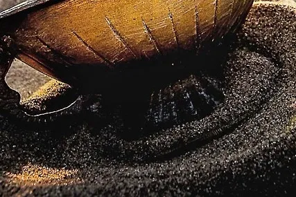 알라딘 뮤지컬 부산