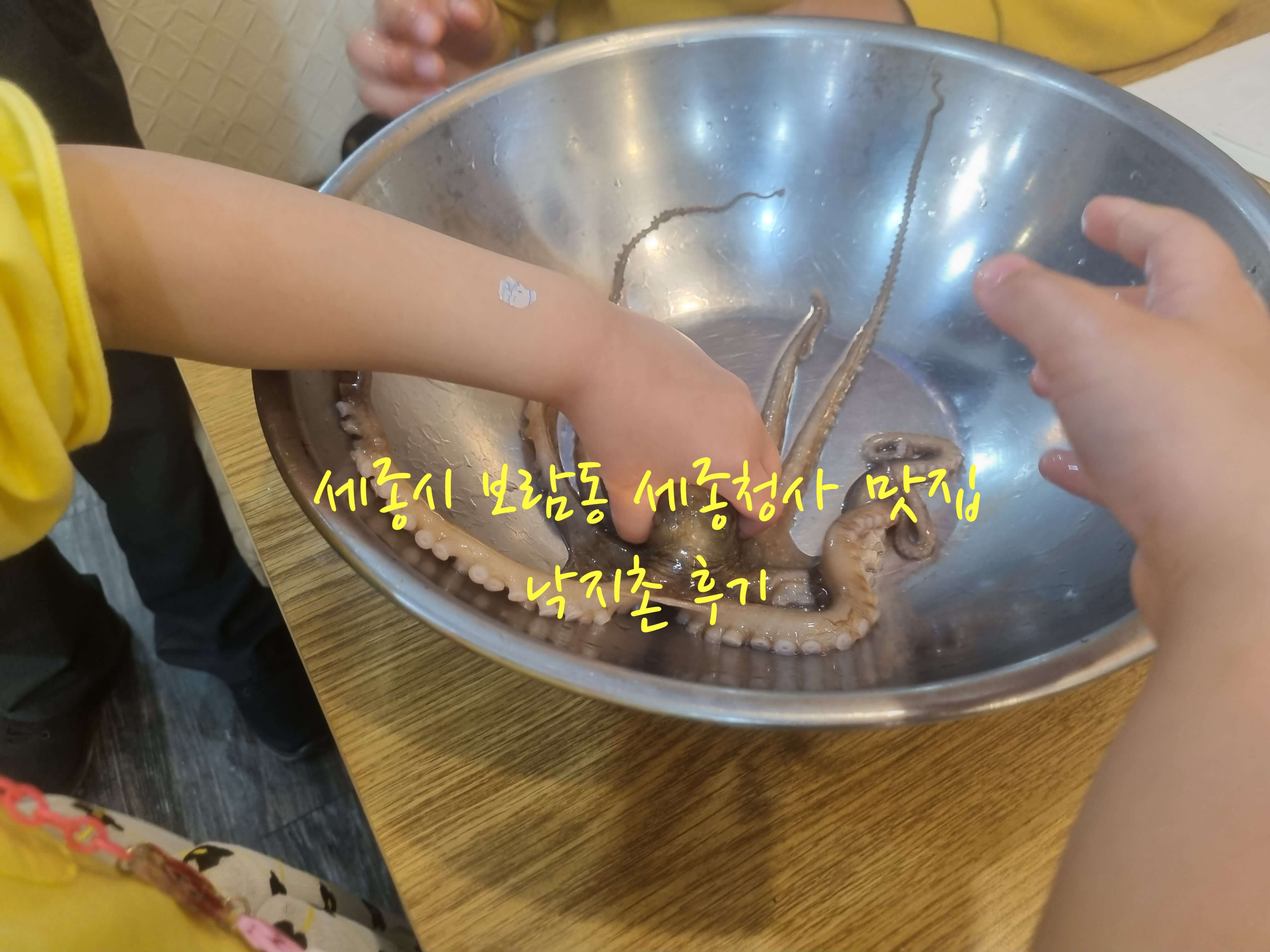 세종시 낙지촌
