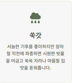 7월에 심는 밭작물