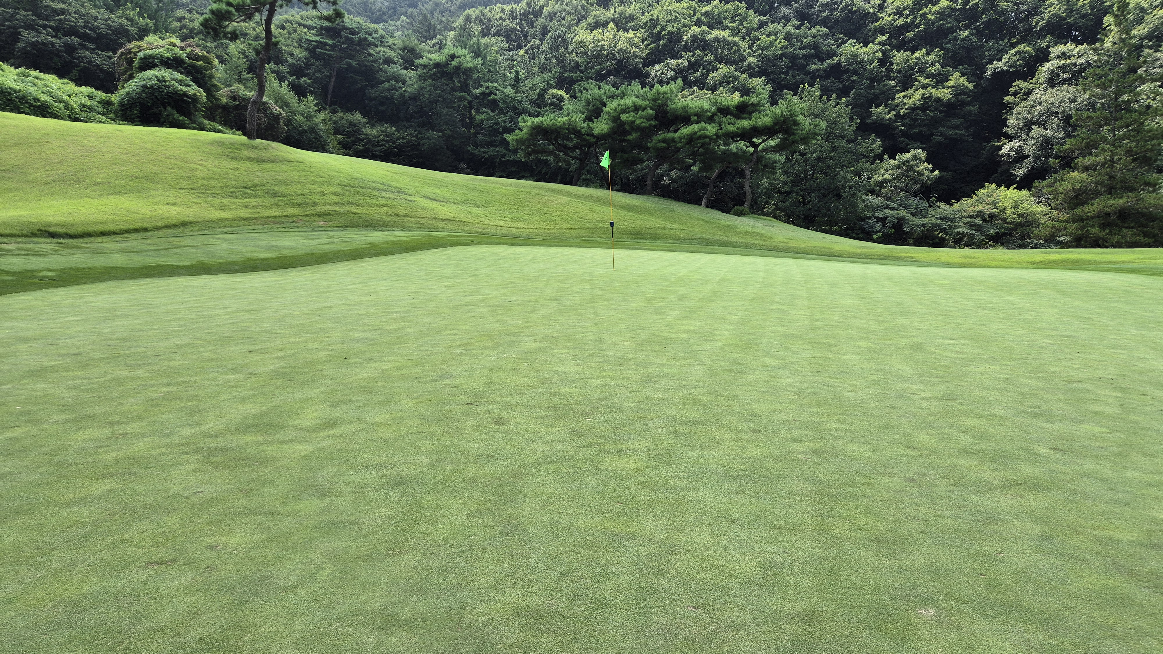 골프존카운티 안성H