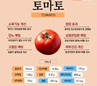 토마토 효능 항산화 작용과 피부건강 효과 정리_9