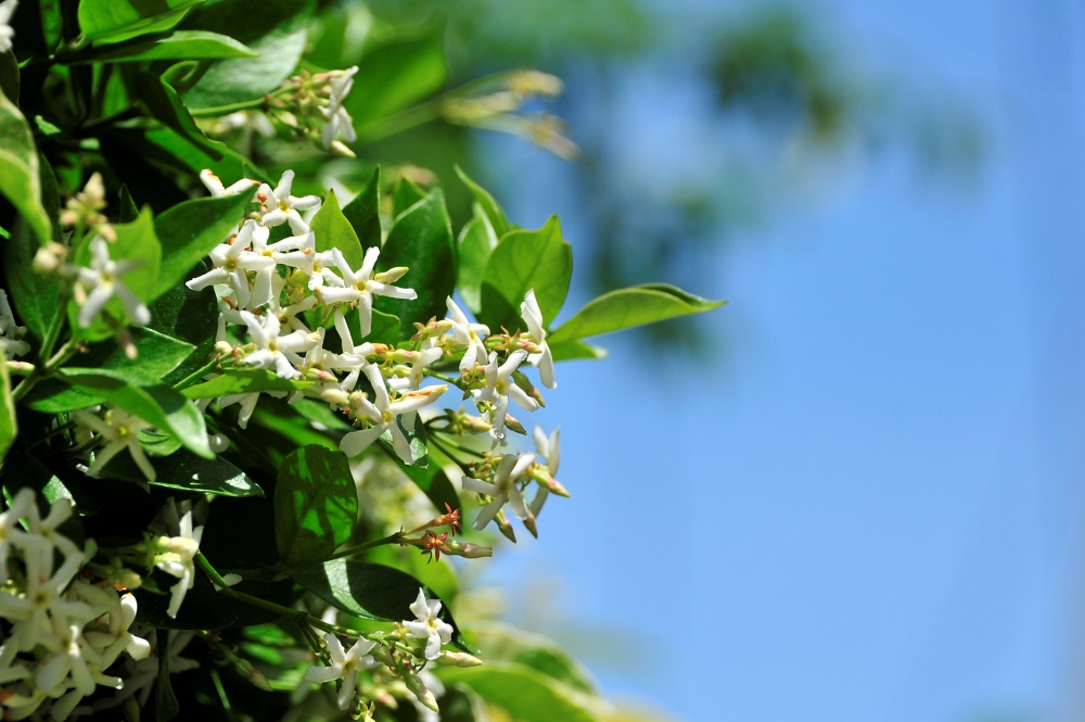 주일 대표 기도문 5월 넷째 주