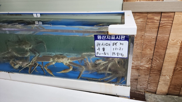 대게 싯가