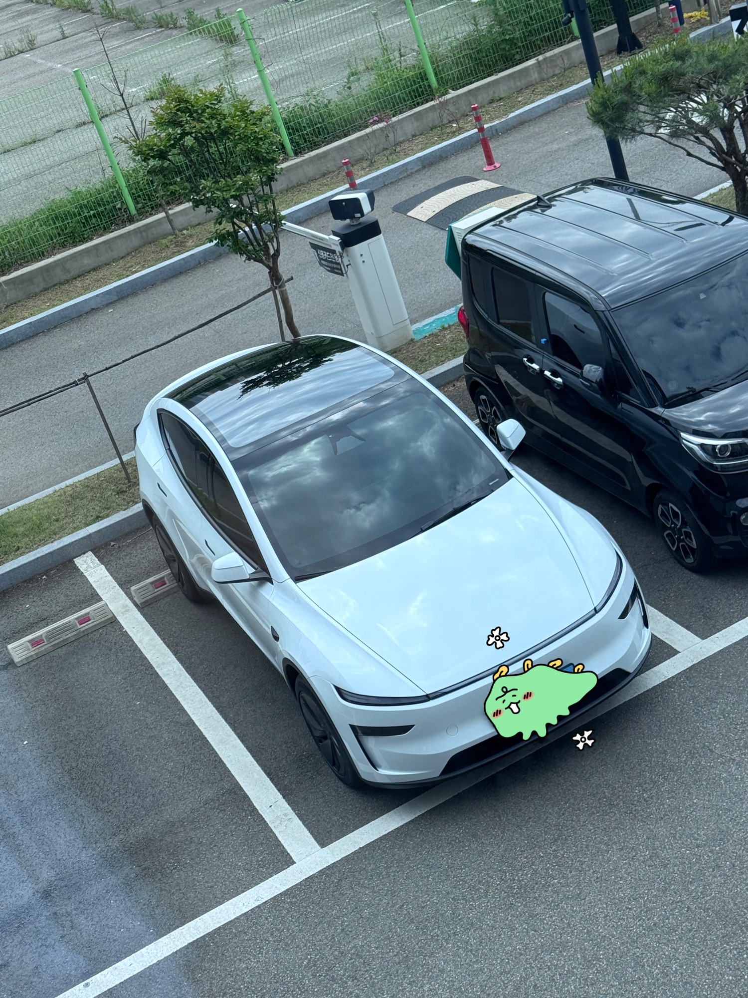 테슬라 신형 모델 Y 주니퍼