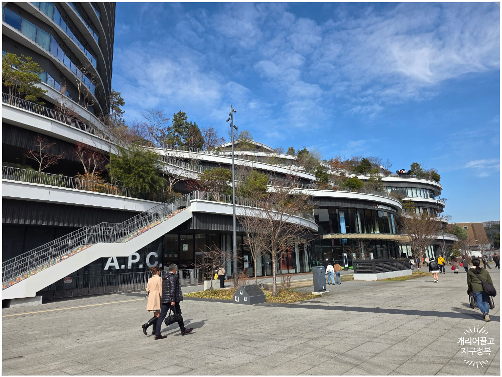 사쿠라마치 광장이다.