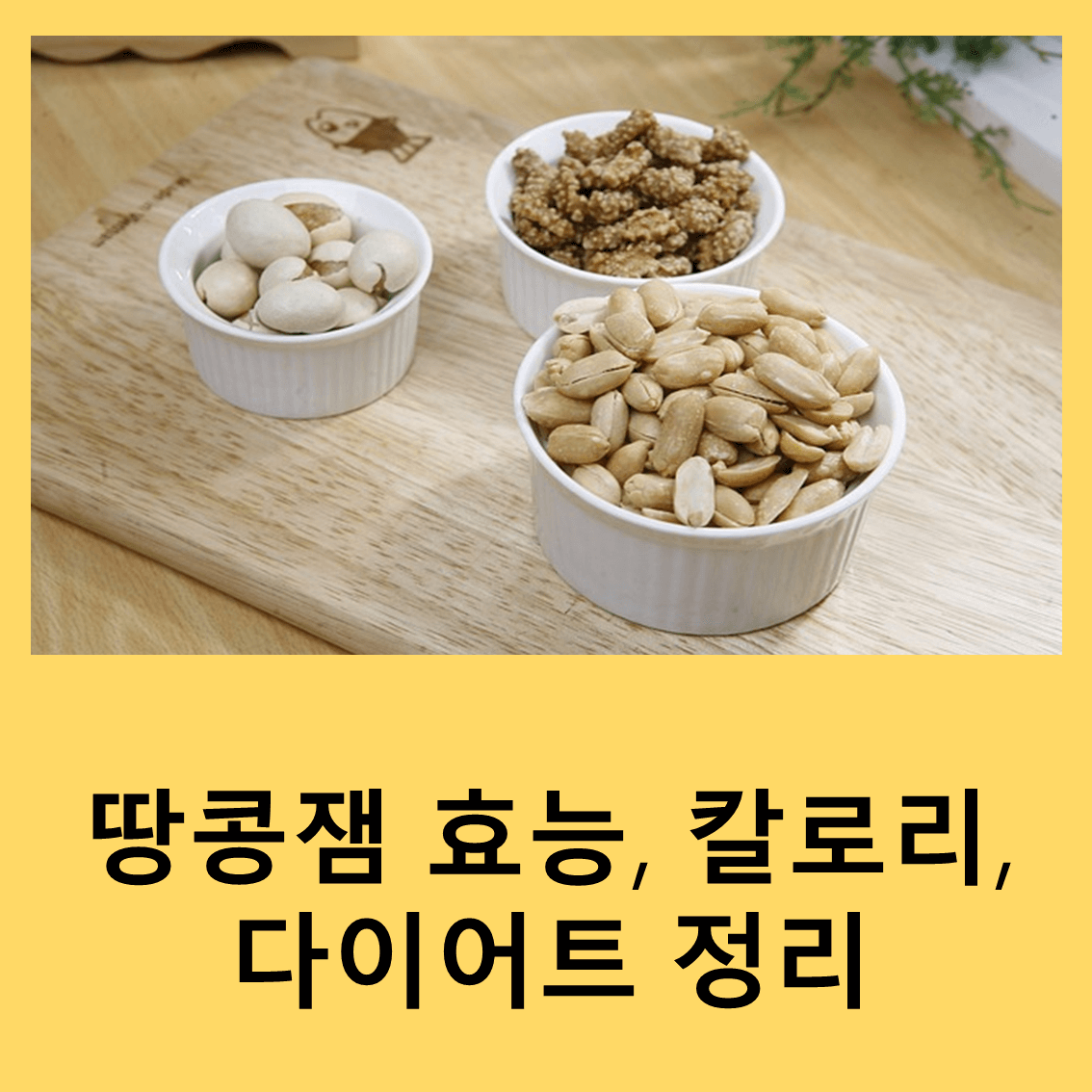 땅콩잼