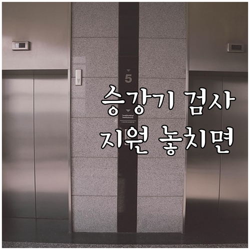 2025년 아동양육시설 승강기 검사비..
