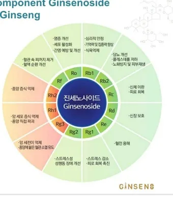 홍삼정 선물 진세노사이드 함량 제형 스틱 복용 편의 위주 선택 가이드_11