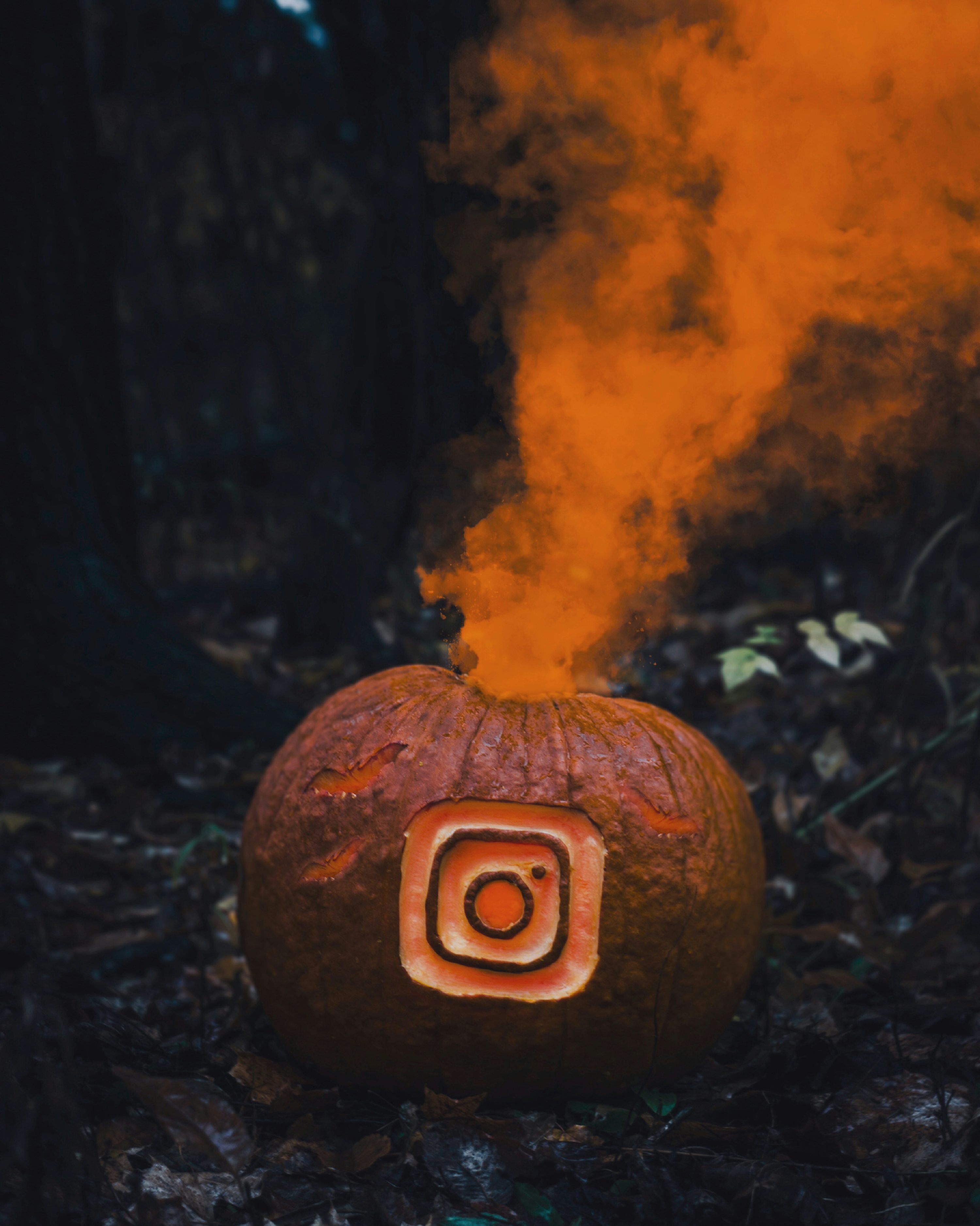 Instagram 릴스 관련 이미지