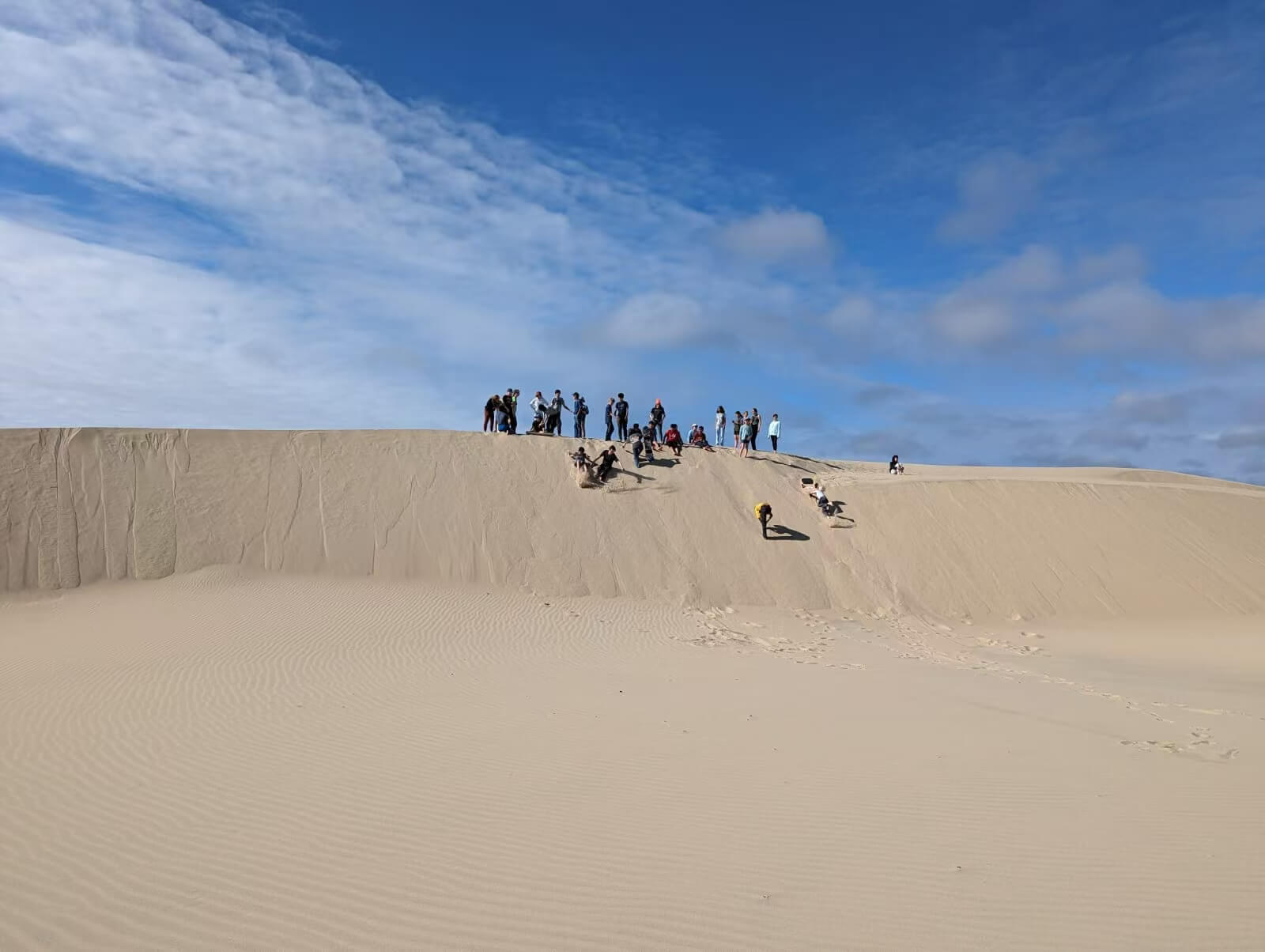 EAS 학부모 봉사 안 하면 모르는 진짜 이야기 관련사진