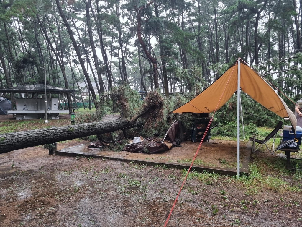 충청남도 태안군 몽산포 자동차야영장