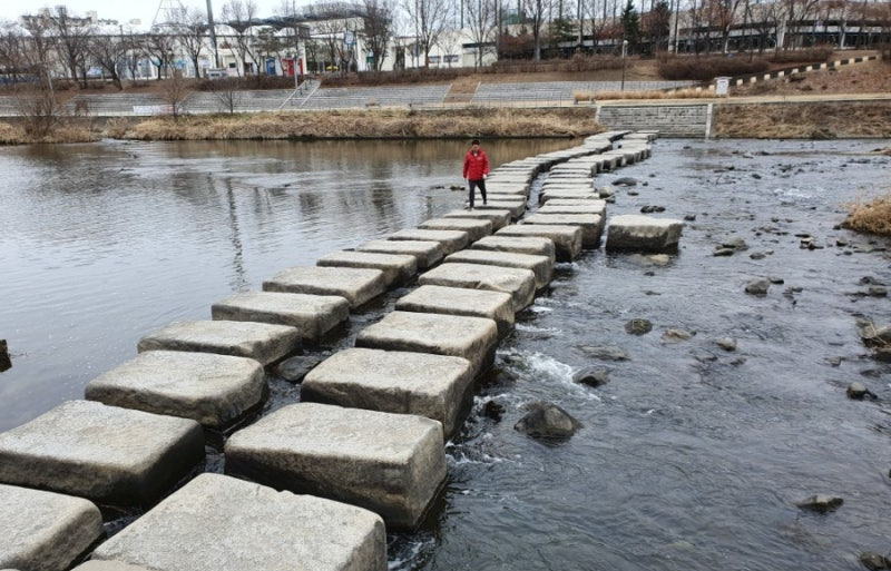 성남 반려견 겨울 산책 명소 BEST 5, 강아지와 걷기 좋은 실제 코스