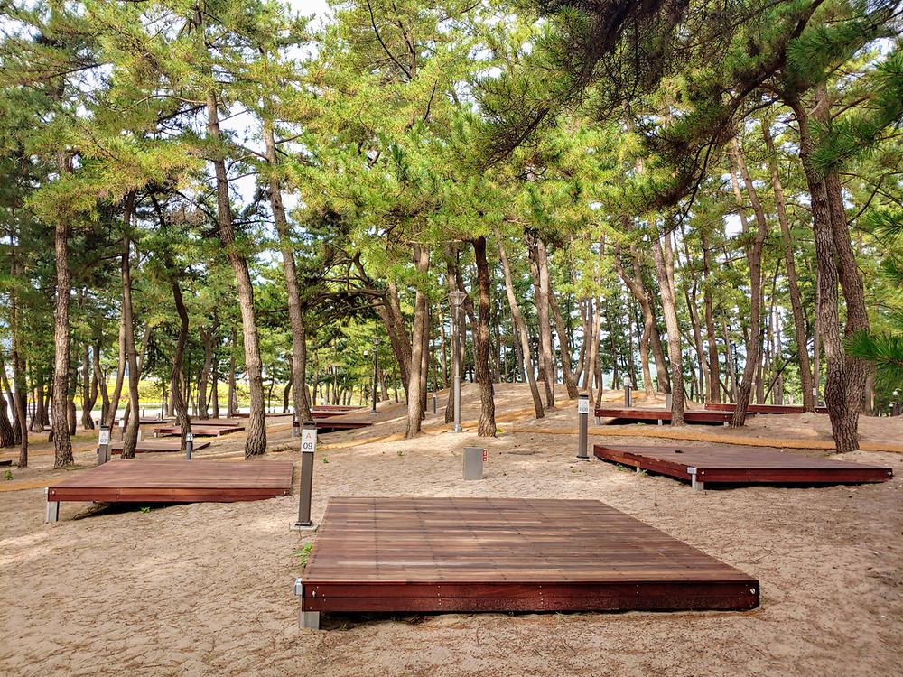 강원도 삼척 맹방비치캠핑장 소개