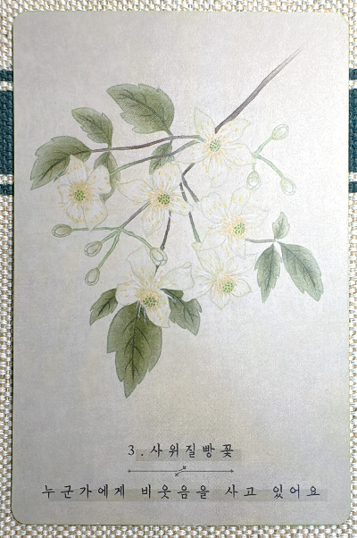 한국의 야생화 카드: 사위질빵꽃