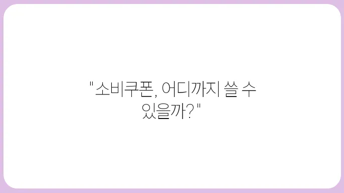 민생회복 소비쿠폰 사욦이 어디까지 가능한가요?