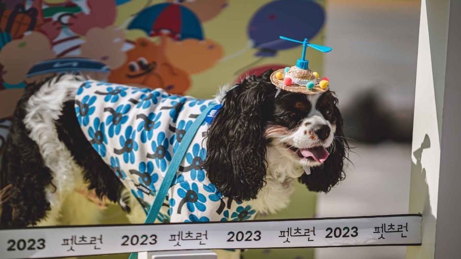 10월 경기 지역 가을 축제