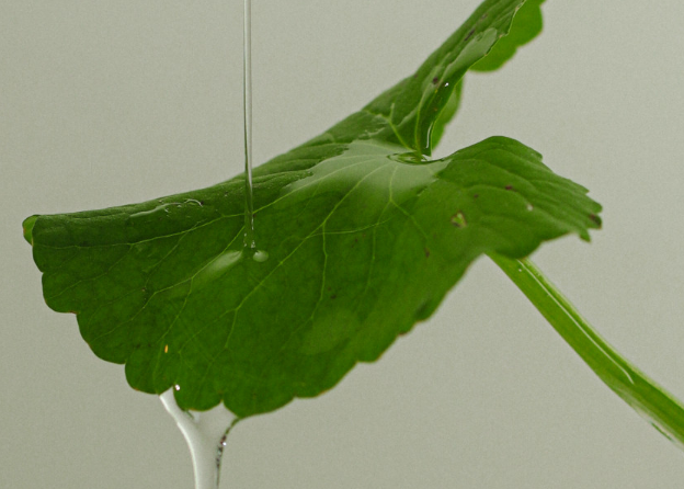 톤28 해남 404 펩타시카 하이드레이터 수분크림 