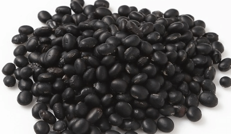 머리카락에 좋은 음식