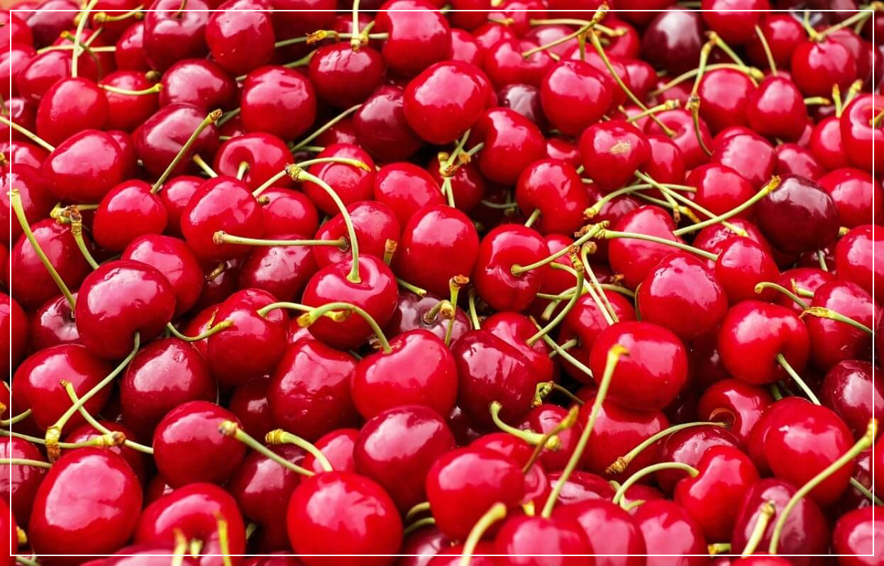 통풍에 좋은 음식