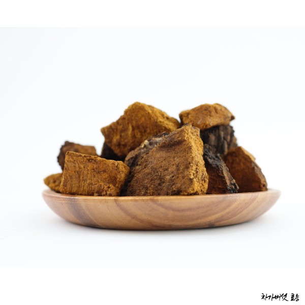 차가버섯 효능│차가버섯의 효능 알고 드세요!