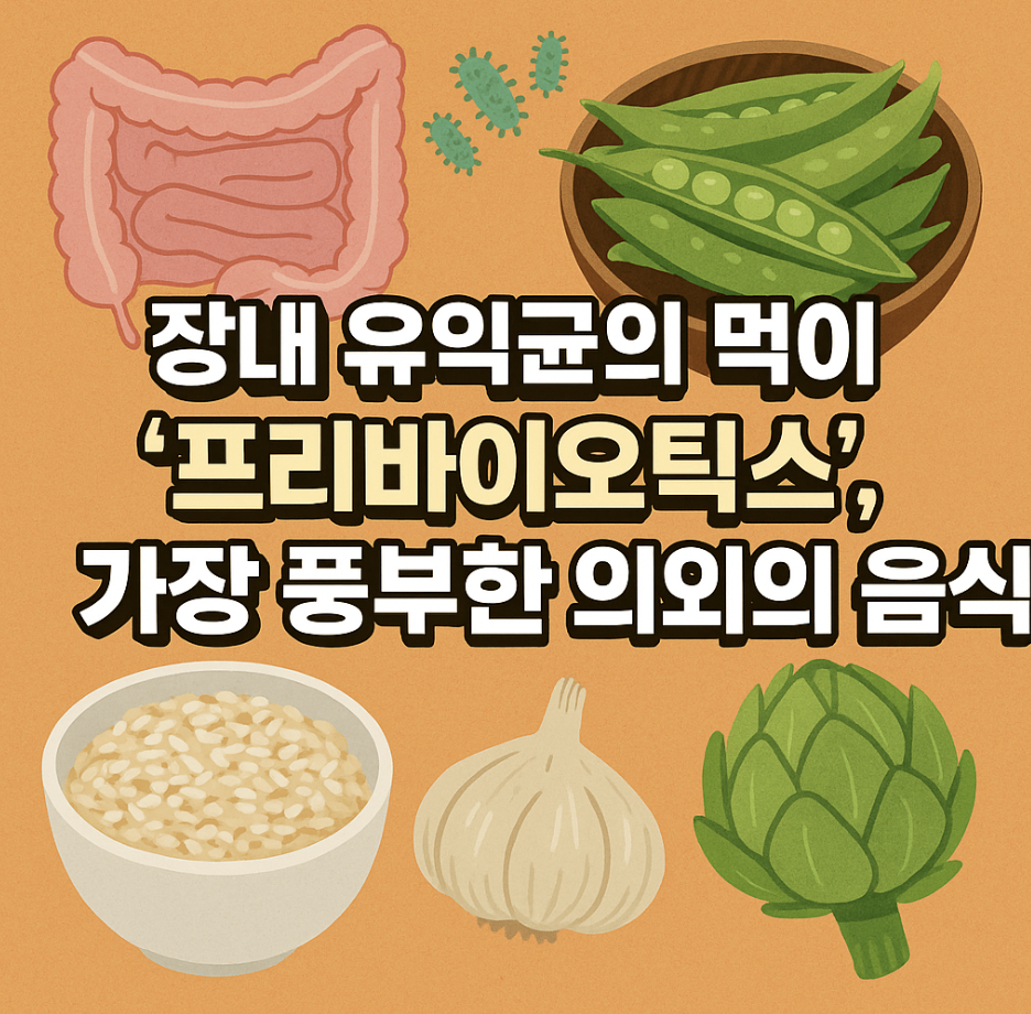 장내 유익균의 먹이 '프리바이오틱스', 가장 풍부한 의외의 음식