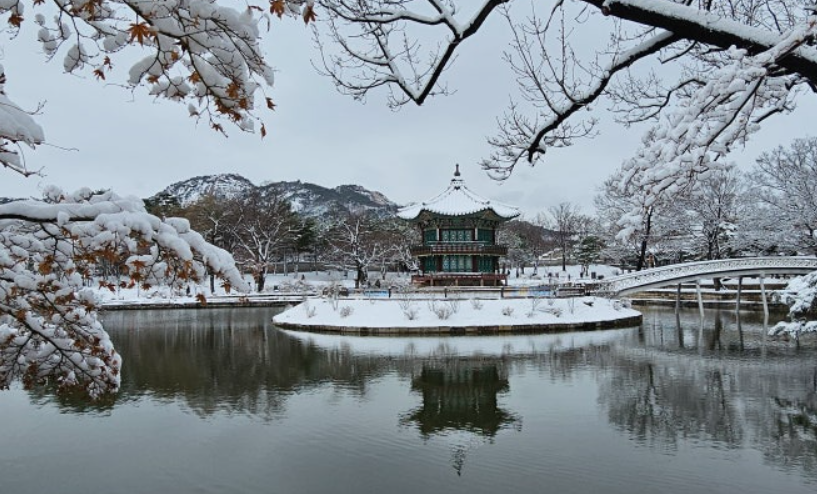 1월 서울 가볼만한곳 ❘ 국내 겨울 여행지 추천 ❘ 데이트 ❘ 가족 ❘ 실내 ❘ 당일치기 ❘ 무료 볼거리