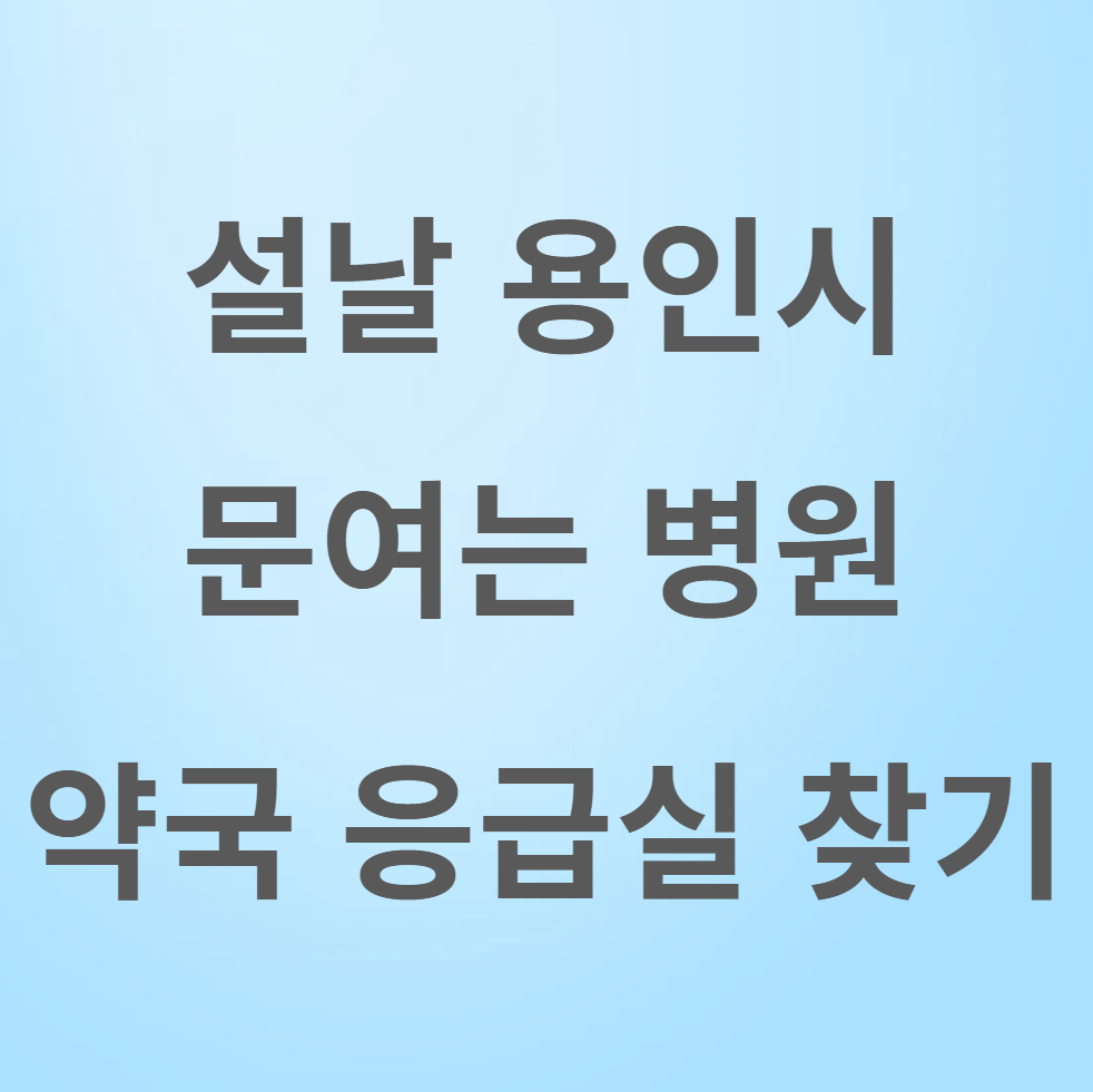 설날 용인시 병원 약국 응급실