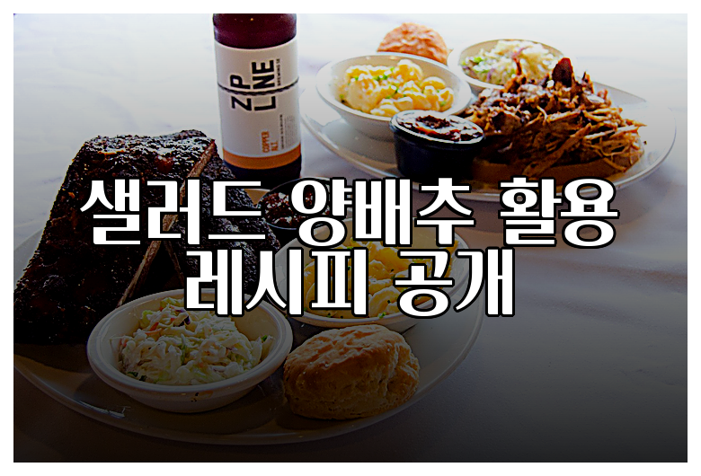 샐러드 양배추 활용 레시피 공개