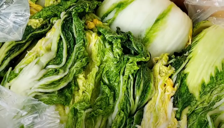 해남 절임 배추가 김장에 좋은 이유