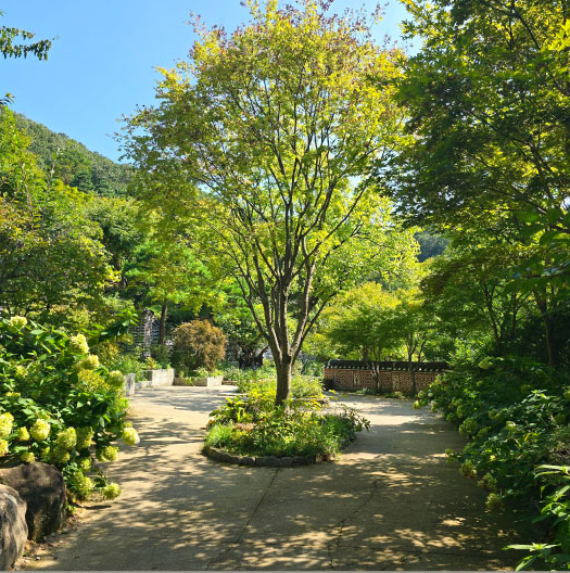 화담숲 모노레일 예약방법