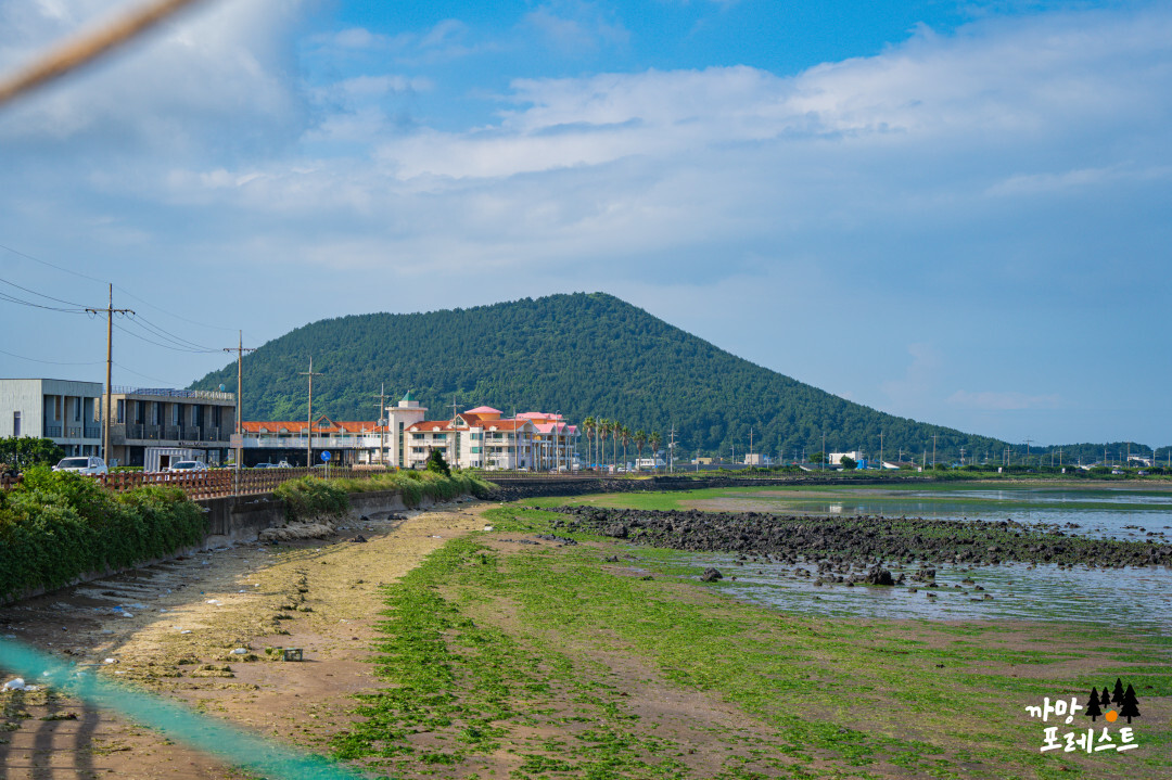 목화 휴게소 지미봉