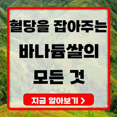 바나듐 쌀