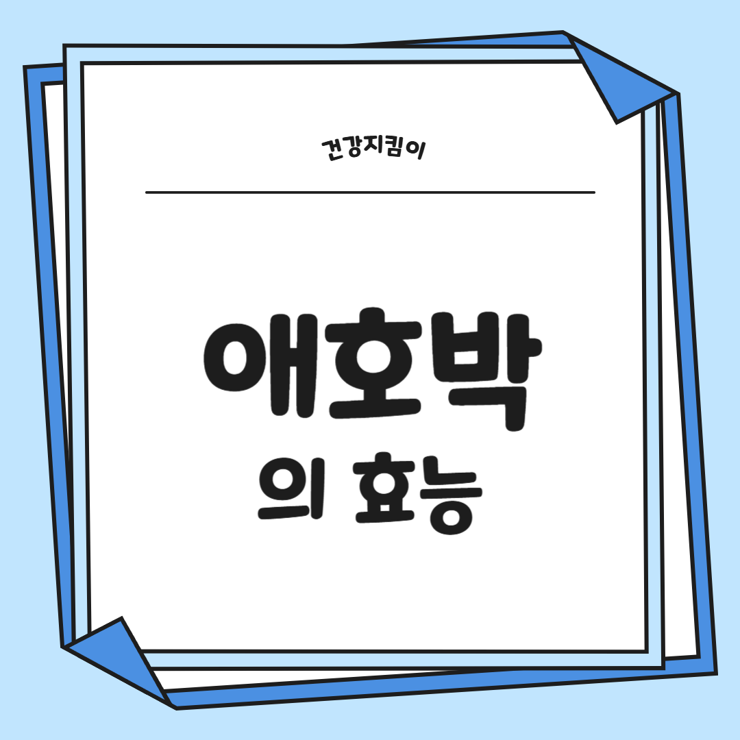 애호박 효능과 부작용 영양성분 고르는법 칼로리