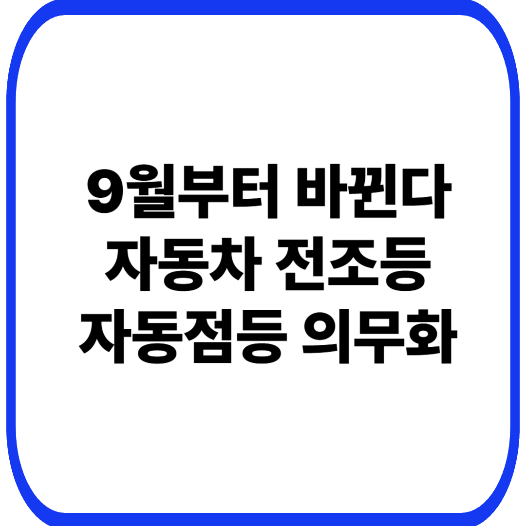 2026년 9월 자동차 전조등 자동점등 의무화|기존 차량도 적용될까?