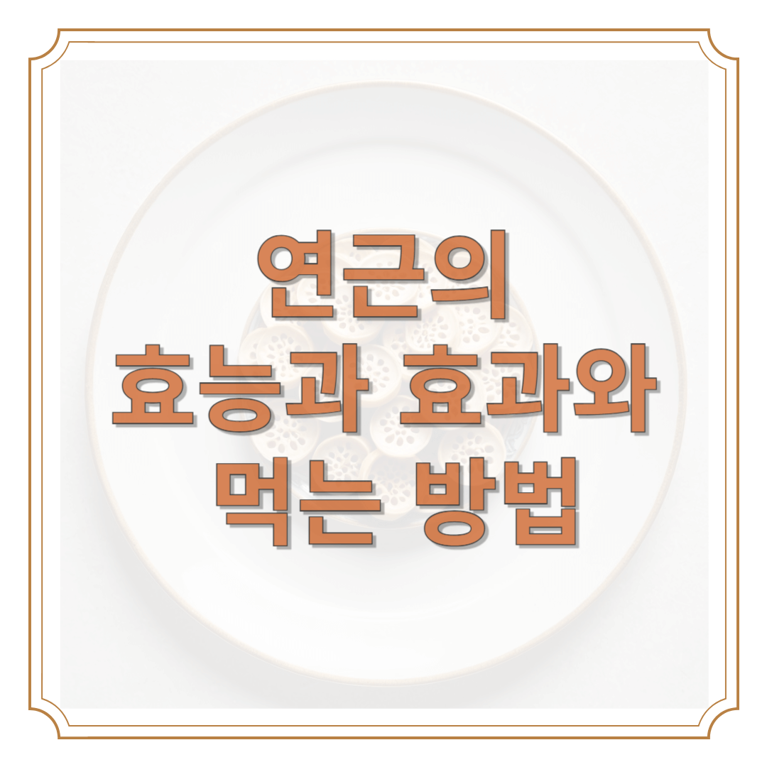 연근의 효능과 효과와 먹는 방법