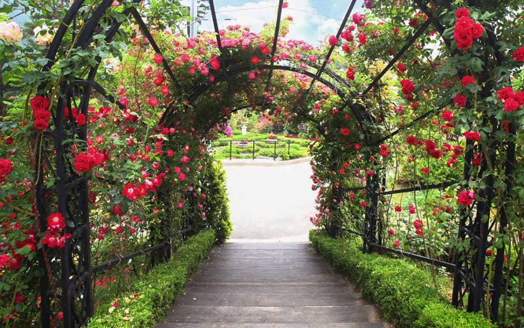 원예예술촌 HOUSE N GARDEN &ndash; 꿈이 현실이 된 정원 마을