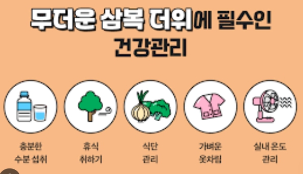 2025 삼복날짜 보양식